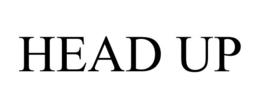 HEAD UP trademark