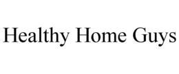 HEALTHY HOME GUYS trademark