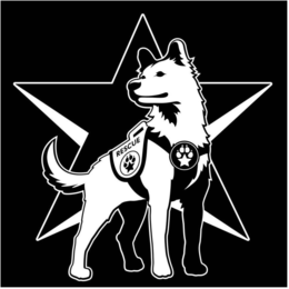 RESCUE trademark