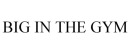 BIG IN THE GYM trademark