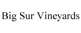 BIG SUR VINEYARDS trademark