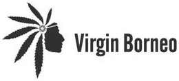 VIRGIN BORNEO trademark