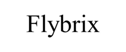 FLYBRIX trademark