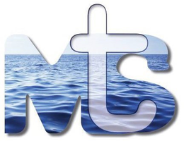 MTS trademark