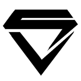 VS trademark