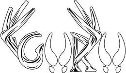 GURU trademark