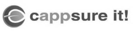 C CAPPSURE IT! trademark