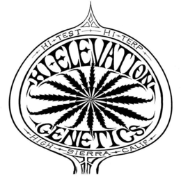 HI TEST HI TERP HIGH SIERRA CALIF HI ELEVATION GENETICS trademark