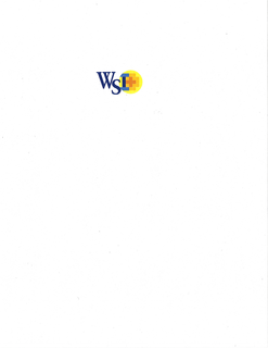 WSI trademark