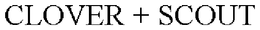 CLOVER + SCOUT trademark