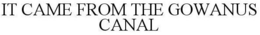 IT CAME FROM THE GOWANUS CANAL trademark