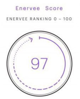 ENERVEE SCORE ENERVEE RANKING 0 - 100 97 trademark