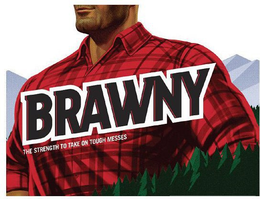 BRAWNY THE STRENGTH TO TAKE ON TOUGH MESSES trademark