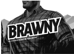 BRAWNY THE STRENGTH TO TAKE ON TOUGH MESSES trademark