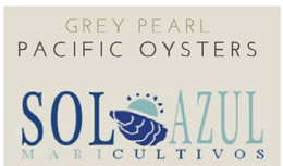 GREY PEARL PACIFIC OYSTERS SOL AZUL MARICULTIVOS trademark