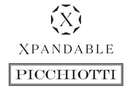 X XPANDABLE PICCHIOTTI trademark