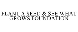 PLANT A SEED & SEE WHAT GROWS FOUNDATION trademark
