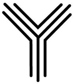 Y trademark