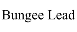 BUNGEE LEAD trademark
