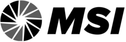 MSI trademark