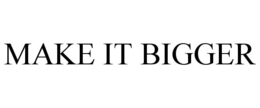 MAKE IT BIGGER trademark
