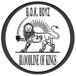 B.O.K. BOYZ 29 BLOODLINE OF KINGS trademark