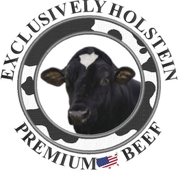 EXCLUSIVELY HOLSTEIN PREMIUM BEEF trademark