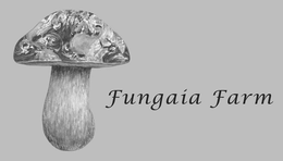 FUNGAIA FARM trademark