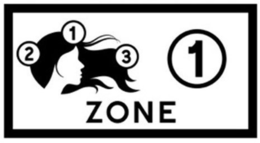 ZONE 1 1 2 3 trademark