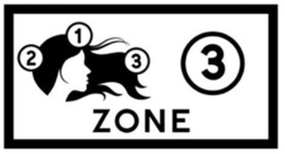 ZONE 3 1 2 3 trademark