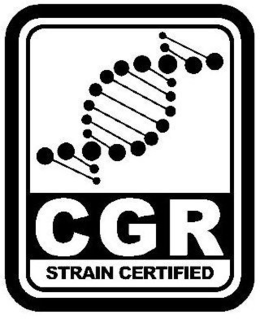 CGR STRAIN CERTIFIED trademark