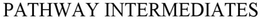 PATHWAY INTERMEDIATES trademark