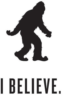 I BELIEVE. trademark
