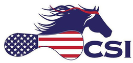 CSI trademark