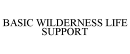 BASIC WILDERNESS LIFE SUPPORT trademark