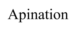 APINATION trademark