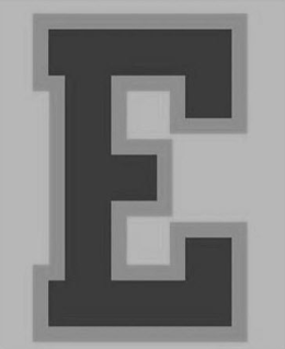 E trademark