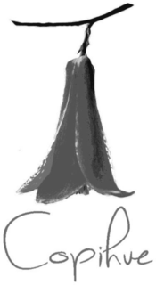 COPIHUE trademark