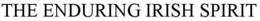 THE ENDURING IRISH SPIRIT trademark