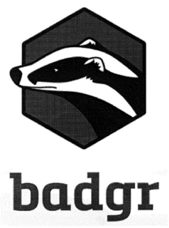 BADGR trademark