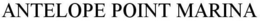 ANTELOPE POINT MARINA trademark