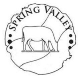 SPRING VALLEY trademark