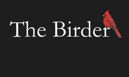 THE BIRDER trademark