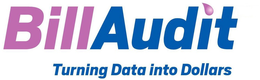 BILLAUDIT TURNING DATA INTO DOLLARS trademark