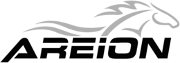 AREION trademark
