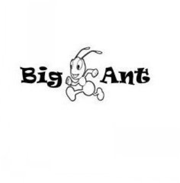 BIG ANT trademark