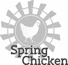 SPRING CHICKEN trademark