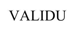 VALIDU trademark