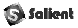 S SALIENT trademark