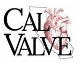 CALVALVE trademark